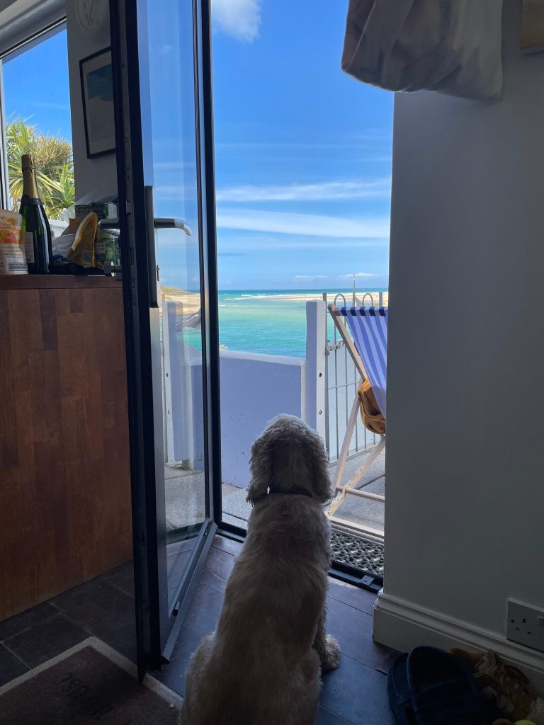 Dog sat at the Beach House door looking out towards azure blue water with blue sky and blue deck chair